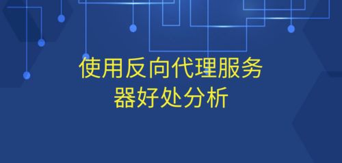 反向代理服务器在数字文化创意内容应用服务中的优势分析